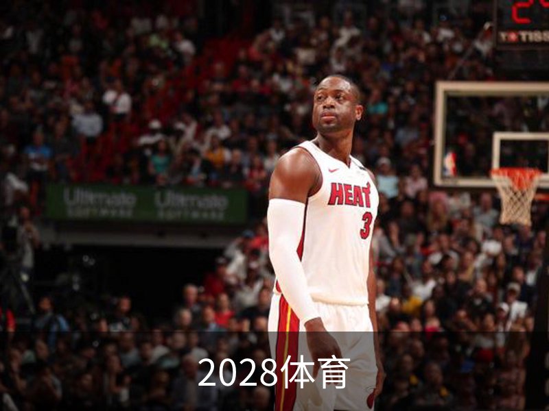 了解2028体育